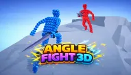 Angle Fight 3D