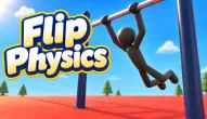 Flip Physics