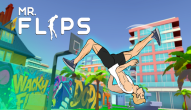 Mr. Flip