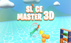 Slice Master 3D